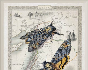 Vintage map, art print, death's head moth, vintage map printable wall art