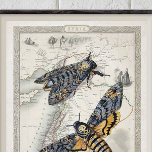 Vintage Landkarte, Kunstdruck, Totenkopf Motte, Vintage Karte druckbare Wandkunst