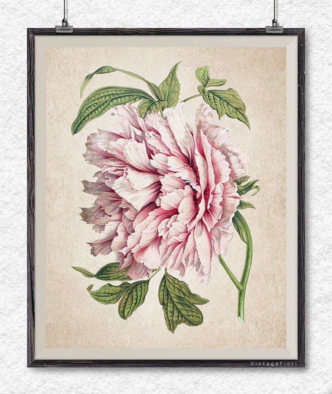 Peony Print, Instant Download, Printable Flower Art, Botanical Print ...