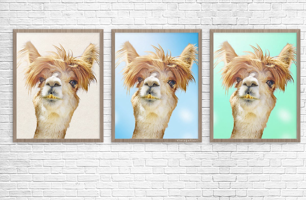 Llama instant download printable art llama digital print | Etsy
