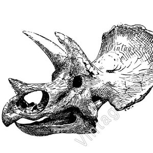 Triceratops dinosaur printable art, Jurassic dino reptile, clipart