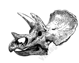 Triceratops dinosaur printable art, Jurassic dino reptile, clipart