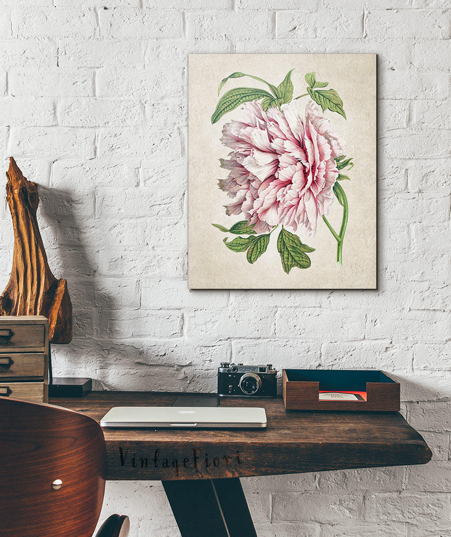 Peony Print Instant Download Printable Flower Art Botanical - Etsy