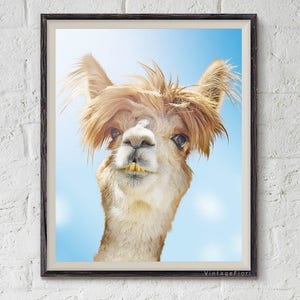 Llama instant download printable art, llama digital print, nursery wall art, animals printable, alpaca poster.