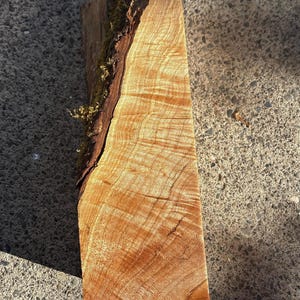 Könnte beinhalten: Ein rechteckiger Block aus hellbraunem Holz mit einer glatten, polierten Oberfläche, die ausgeprägte Maserungen zeigt. Eine Seite weist eine raue, dunkelbraune Rindenkante mit grünen Moosflecken entlang des Holzstücks auf.