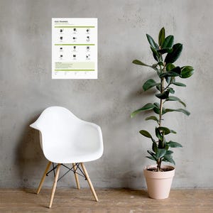 May include: A white rectangular poster titled DOG TRAINING featuring green horizontal bars, black icons, and text instructions for canine commands. The poster is displayed on a gray wall above a white molded plastic chair and a tall green rubber plant.