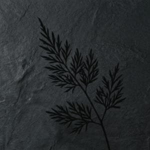 Könnte beinhalten: Eine dunkel anthrazitfarbene Schieferoberfläche mit einer markanten, schwarzen, detaillierten Silhouette eines Farnwedels. Die natürliche Steintextur ist im Hintergrund sichtbar und sorgt für ein raues, unebenes Erscheinungsbild.
