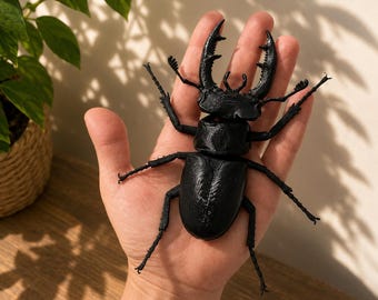 Articulated Stag Beetle Model | Large 3D Printed Insect Desk Decor