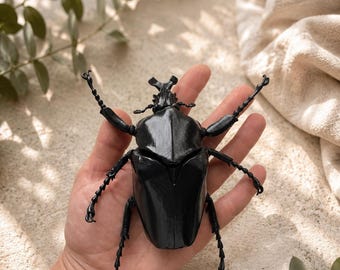 May include: A large, glossy black beetle figurine with a segmented body, prominent mandibles, and six articulated legs. The insect model features a smooth, reflective surface and detailed anatomical structures, including a distinct head, thorax, and elytra.