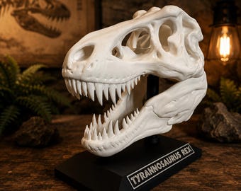 T-Rex Skull Display Model | Detailed Tyrannosaurus Rex Dinosaur Decor