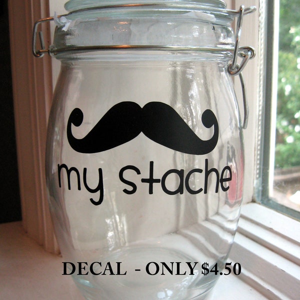 Mustache Decal - MY STACHE - Stash your cash in style