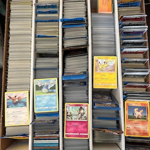 winnipeg pokemon cards Haul from Winnipeg Card Show : r/hockeycards