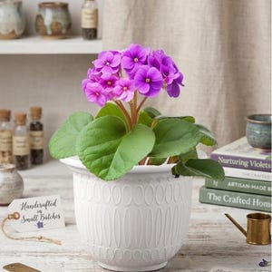 May include: A white patterned pot containing an African violet plant with purple flowers and green leaves. A tag reads "Handcrafted in Small Batches." Books and a small watering can are in the background. The pot is likely around 15 cm in diameter.