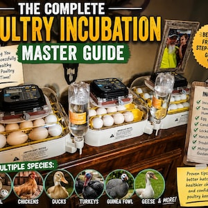 Puede incluir: Una guía completa de incubación de aves de corral con el texto "The Complete Poultry Incubation Master Guide". La imagen muestra incubadoras con huevos, una foto y una lista de verificación. La guía incluye consejos para la eclosión de pollos y aves de corral.