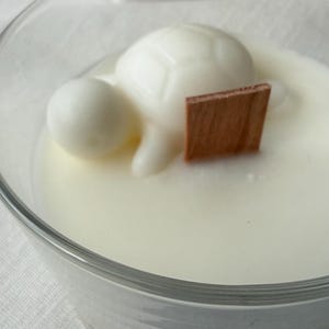 Op de afbeelding: Een heldere glazen kandelaar gevuld met witte was. De kaars heeft een schildpadvormig ontwerp en een houten lont. De kaars staat op een wit oppervlak.