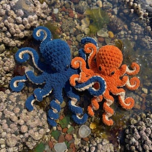 Peut inclure: Deux peluches pieuvre au crochet, l'une bleu foncé et l'autre orange vif, chacune dotée de huit tentacules recourbés avec des dessous couleur crème et de petits yeux noirs, placées côte à côte sur une surface rocheuse et humide.