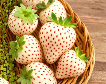 200 semillas de fresa blanca maravillosa, semillas de fruta tradicional Fragaria vesca, fresa alpina blanca rara, planta perenne de jardín.