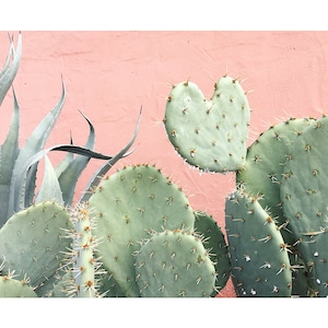 Pink Heart Prickly Pear // Cactus Art // Cactus Desert Photography // Plant Photograph // Cacti Art // Modern Photography
