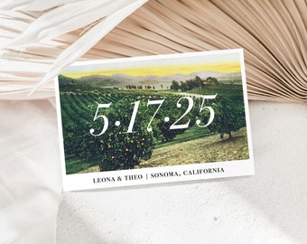 Sonoma Vineyard Save the Date Postcards // Winery Valley Post Cards Grapes California Wedding