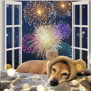 Ruffmuffs noise reducing earmuffs for dogs. for quiet ears/ traveling/fireworks/loud noises image 1