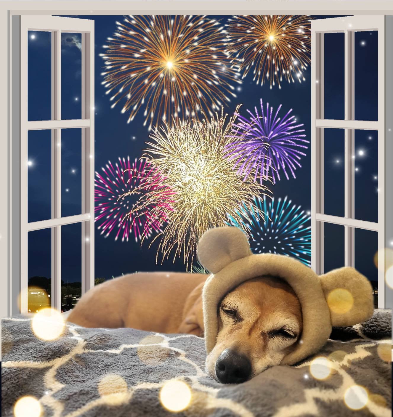 The Style of Your Life Quick delivery derYEP Dog Earmuffs for Hearing