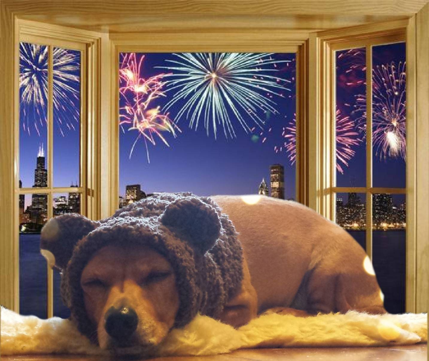 How Can I Protect My Dogs Ears From Fireworks