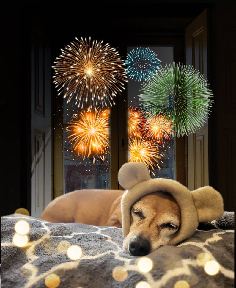 Ruffmuffs noise reducing earmuffs for dogs. for quiet ears/ traveling/fireworks/loud noises image 8