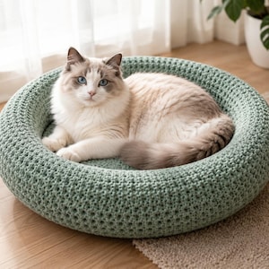 Könnte beinhalten: Ein hellgrünes, rundes, gestricktes Katzenbett mit einer flauschigen, hellfarbigen Katze darin. Die Katze hat blaue Augen und schaut direkt in die Kamera. Das Bett steht auf einem Holzboden, in der Nähe eines Fensters und einer Zimmerpflanze.