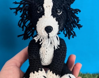 Border Collie miniatura con patrón