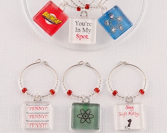 Dijes de vino de The Big Bang Theory (juego de 6): idea de regalo, fan de The Big Bang Theory, Bazinga, gatito suave