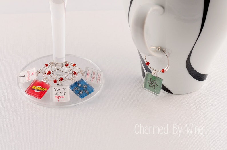 Big Bang Theory Wine Charms set of 6 Gift Idea Big Bang Etsy