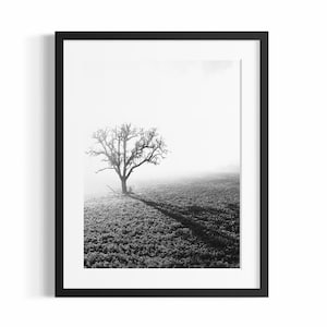 Può includere: Stampa artistica incorniciata in bianco e nero con un albero solitario in un campo. L'ombra dell'albero si estende sul terreno strutturato. Lo sfondo nebbioso crea un paesaggio sereno.