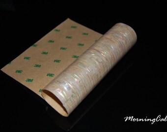 Prism Abalone Narrow Shell Flexible Adhesive Veneer (9.4" x 5.5" x 0.006" inches)