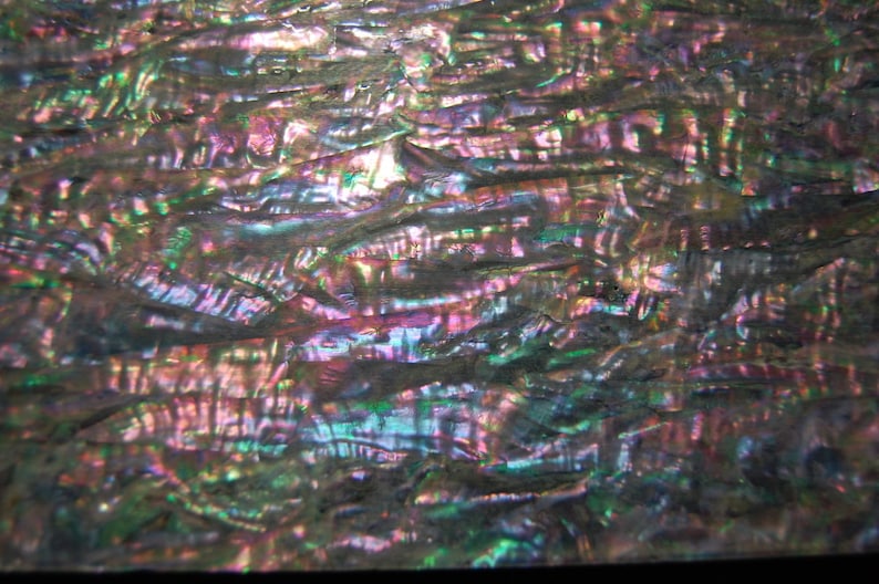 Prism Abalone Wide Flexible Enhanced Adhesive Veneer Sheet - Etsy
