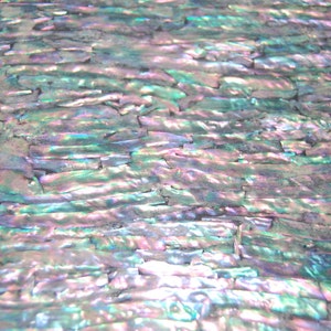 Prism Abalone Narrow Enhanced Adhesive Veneer Sheet 9.4 - Etsy