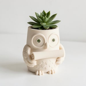 May include: A cream-colored owl-shaped planter featuring a sculpted design of an owl holding a scroll in its wings. The owl has large circular eyes and textured feather details. A green succulent plant is potted inside the top opening.