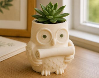 Vaso para plantas em formato de coruja, impresso em 3D e pintado à mão, suporte exclusivo para plantas de mesa.