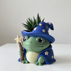 May include: A green frog-shaped planter wearing a blue wizard hat and cape decorated with cream-colored stars. The frog holds a brown, textured staff topped with a cream star. A small, spiky green succulent plant grows from the top of the hat.