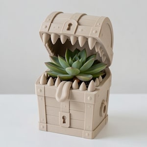 Peut inclure: Un pot de fleurs beige en forme de coffre au tr&eacute;sor mimique avec un couvercle articul&eacute;, des dents pointues et une langue saillante. Une plante succulente verte est plant&eacute;e &agrave; l'int&eacute;rieur du coffre, orn&eacute; d'un motif de serrure sur le devant.