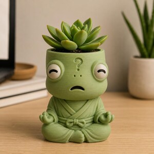 Pu&ograve; includere: Un vaso verde chiaro a forma di rana seduta in posizione di meditazione con le mani in mudra. La rana ha un punto interrogativo sulla fronte, gli occhi chiusi e una piccola bocca. Una pianta succulenta verde &egrave; piantata nella parte superiore.