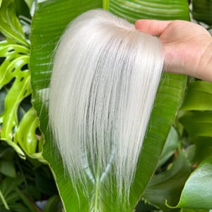 Puede incluir: Un postizo de cabello liso rubio platino con una textura suave y una raya de aspecto natural. El cabello es fino, elegante y cae en línea recta, mostrando un tono blanco hielo brillante que refleja la luz a través de los mechones.