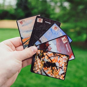May include: A hand holding a collection of landscape-themed cards. Each card features a different scene, including plains, swamp, island, and mountains, with a postage stamp design in the corner. The cards have a black border.