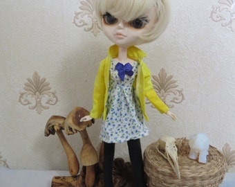 Funky Jacke, Kleid und ach so weiche Hose