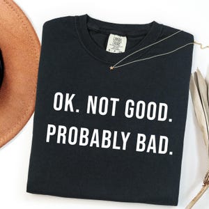 Ok Not Good Probably Bad Shirt, Heated Rivalry Tee, Hockey Romance Gift Apparel, BookTok Reader Top, Quote Clothing for Cozy Reading