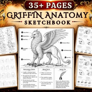 May include: A 35+ page Griffin Anatomy Sketchbook featuring detailed black and white line art illustrations. The cover displays a central griffin diagram with labeled anatomy, surrounded by instructional pages on drawing heads, eyes, and expressions.