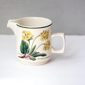 May include: Cream-colored ceramic creamer with a green rim and handle. The creamer features a botanical illustration of yellow flowers, green leaves, and the text "Primula Elatior". A charming addition to any kitchen.