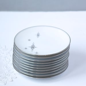 May include: A stack of white ceramic plates with a silver rim and a decorative starburst pattern. The plates are stacked neatly, showcasing their clean design. The plates are a classic addition to any dining set.