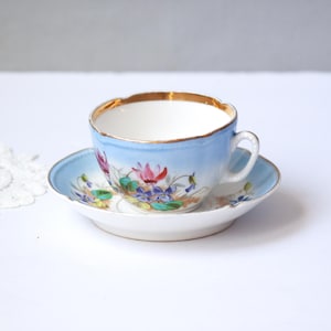 Vintage C.T. Tea Cup Carl Tielsch Altwasser Germany Tea Cup and Saucer Set