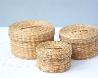 Small Woven Nesting Baskets, Boho Basket, Wicker Storage Basket, with Lid Raffia Baskets Set of 3