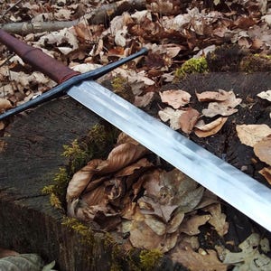 Op de afbeelding: Een langzwaard met een gepolijst stalen lemmet, een donkerbruin met leer omwikkeld handvat, een zwarte metalen pareerstang en een donkere, gefacetteerde pommel. Het zwaard ligt diagonaal over een donkere, met mos begroeide boomstronk.